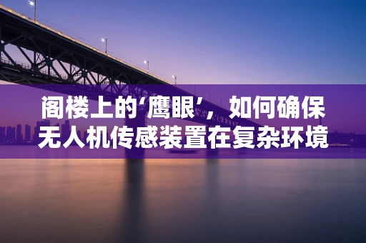 阁楼上的‘鹰眼’，如何确保无人机传感装置在复杂环境中的精准定位？