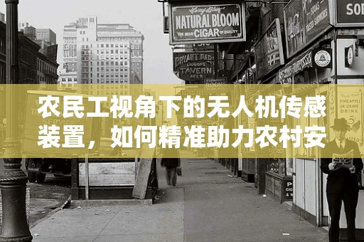 农民工视角下的无人机传感装置，如何精准助力农村安全监测？