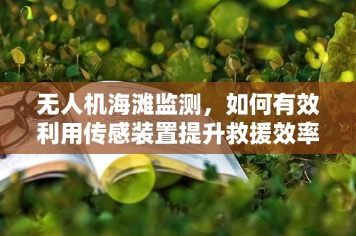 无人机海滩监测，如何有效利用传感装置提升救援效率？