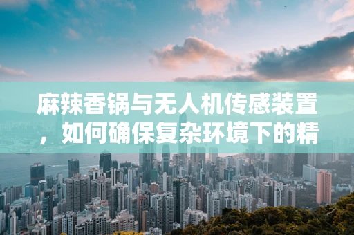 麻辣香锅与无人机传感装置，如何确保复杂环境下的精准定位？