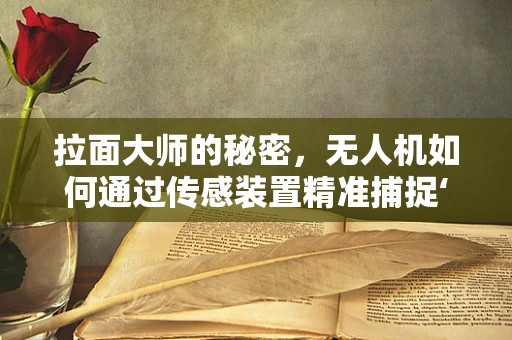 拉面大师的秘密，无人机如何通过传感装置精准捕捉‘那碗刚好’的拉面？