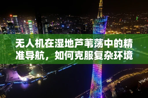 无人机在湿地芦苇荡中的精准导航，如何克服复杂环境下的传感挑战？