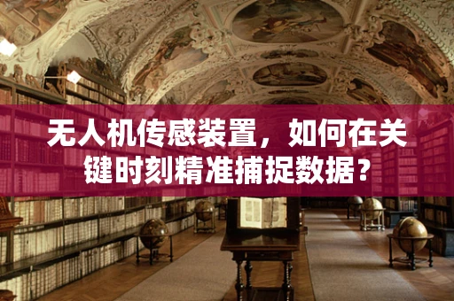 无人机传感装置，如何在关键时刻精准捕捉数据？