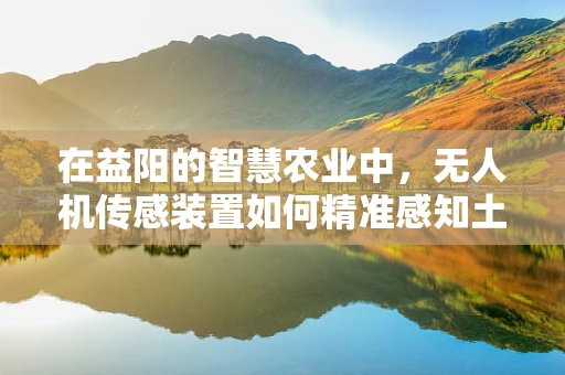 在益阳的智慧农业中，无人机传感装置如何精准感知土壤湿度？