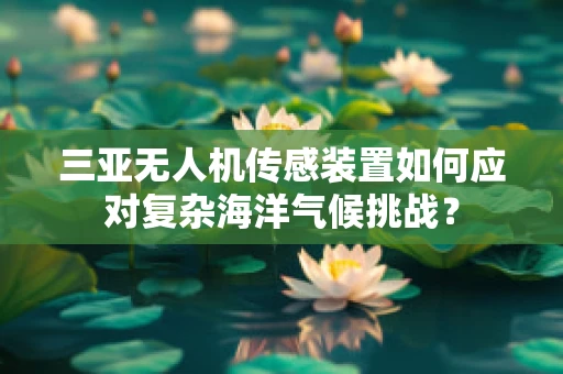 三亚无人机传感装置如何应对复杂海洋气候挑战？