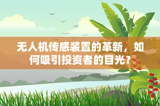 无人机传感装置的革新，如何吸引投资者的目光？