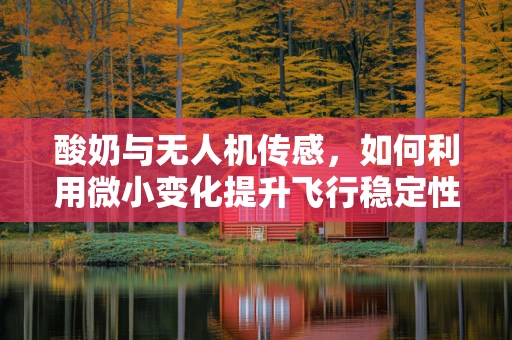 酸奶与无人机传感，如何利用微小变化提升飞行稳定性？