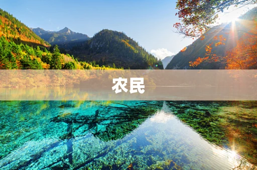 农民