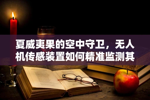 夏威夷果的空中守卫，无人机传感装置如何精准监测其生长环境？