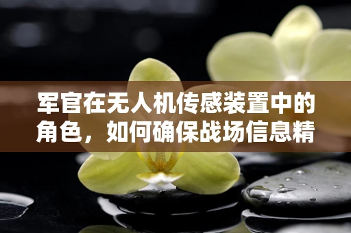 军官在无人机传感装置中的角色，如何确保战场信息精准传递？