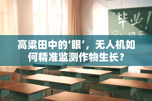 高粱田中的‘眼’，无人机如何精准监测作物生长？