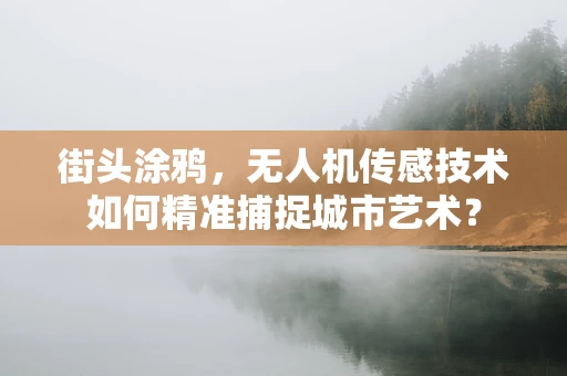 街头涂鸦，无人机传感技术如何精准捕捉城市艺术？
