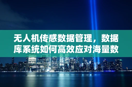无人机传感数据管理，数据库系统如何高效应对海量数据挑战？