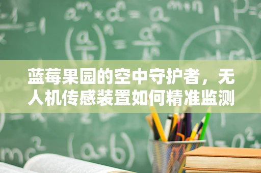 蓝莓果园的空中守护者，无人机传感装置如何精准监测果实成熟度？