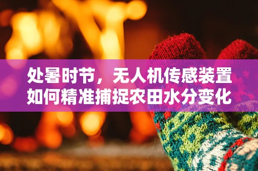 处暑时节，无人机传感装置如何精准捕捉农田水分变化？
