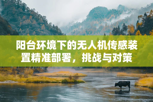 阳台环境下的无人机传感装置精准部署，挑战与对策