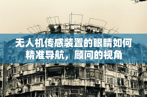 无人机传感装置的眼睛如何精准导航，顾问的视角