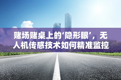 赌场赌桌上的‘隐形眼’，无人机传感技术如何精准监控？