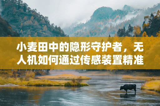 小麦田中的隐形守护者，无人机如何通过传感装置精准监测？
