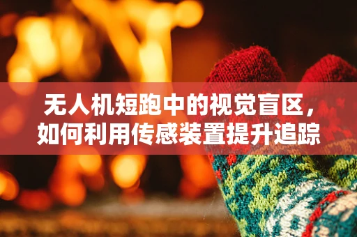 无人机短跑中的视觉盲区，如何利用传感装置提升追踪精度？