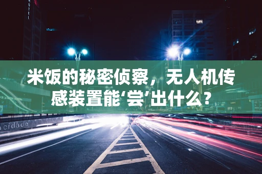 米饭的秘密侦察，无人机传感装置能‘尝’出什么？