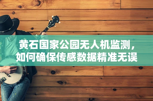 黄石国家公园无人机监测，如何确保传感数据精准无误？