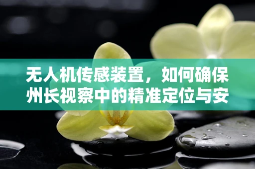 无人机传感装置，如何确保州长视察中的精准定位与安全？