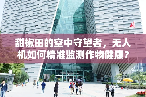 甜椒田的空中守望者，无人机如何精准监测作物健康？