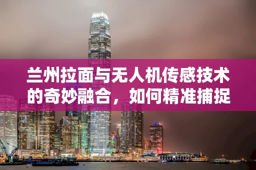 兰州拉面与无人机传感技术的奇妙融合，如何精准捕捉香气数据？
