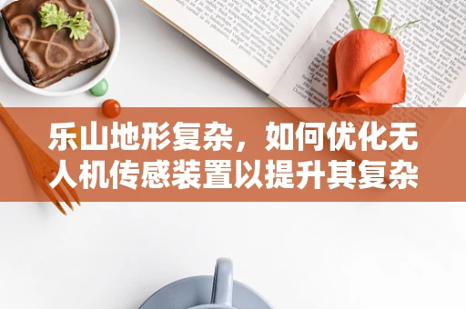 乐山地形复杂，如何优化无人机传感装置以提升其复杂环境下的作业能力？