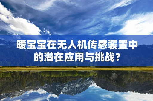 暖宝宝在无人机传感装置中的潜在应用与挑战？