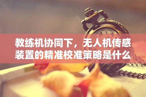 教练机协同下，无人机传感装置的精准校准策略是什么？