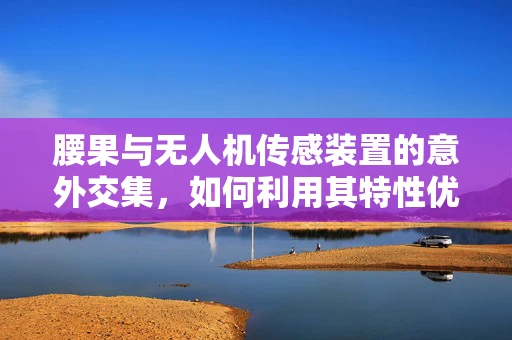 腰果与无人机传感装置的意外交集，如何利用其特性优化飞行稳定性？