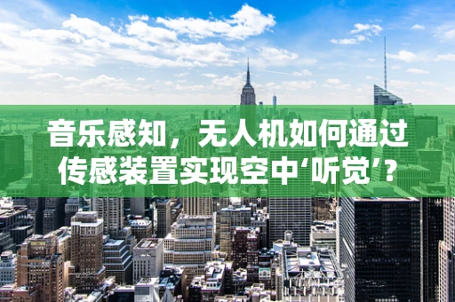 音乐感知，无人机如何通过传感装置实现空中‘听觉’？