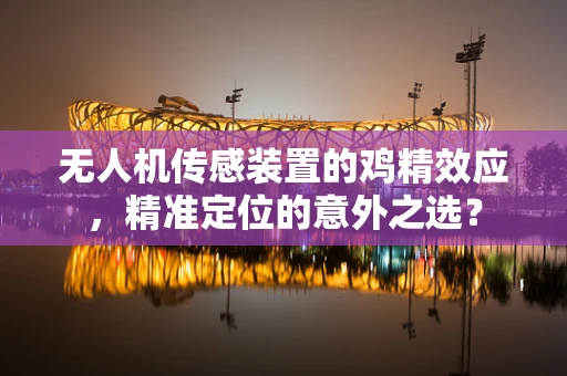 无人机传感装置的鸡精效应，精准定位的意外之选？