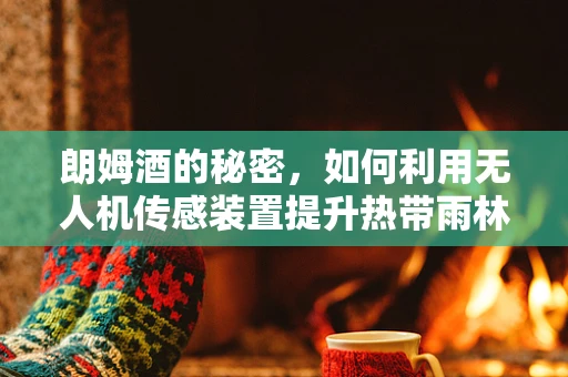朗姆酒的秘密，如何利用无人机传感装置提升热带雨林监测的精确度？