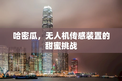 哈密瓜，无人机传感装置的甜蜜挑战