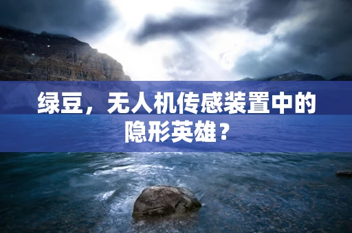 绿豆，无人机传感装置中的隐形英雄？