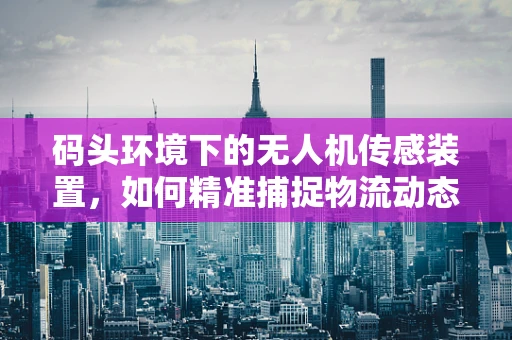 码头环境下的无人机传感装置，如何精准捕捉物流动态？