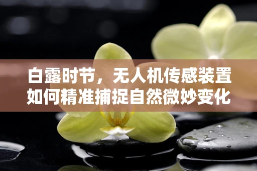 白露时节，无人机传感装置如何精准捕捉自然微妙变化？