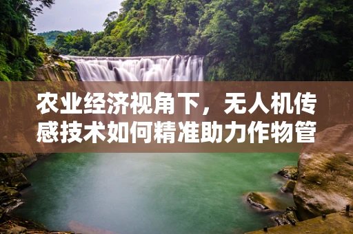 农业经济视角下，无人机传感技术如何精准助力作物管理？