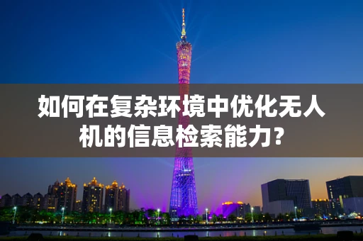如何在复杂环境中优化无人机的信息检索能力？