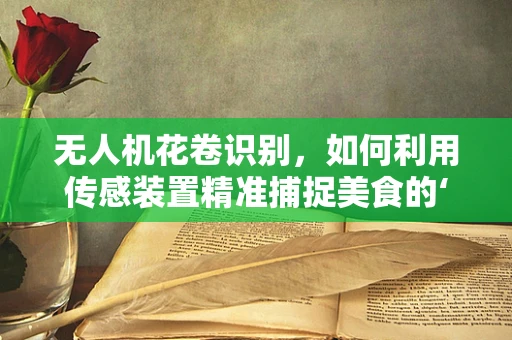 无人机花卷识别，如何利用传感装置精准捕捉美食的‘诱惑’？