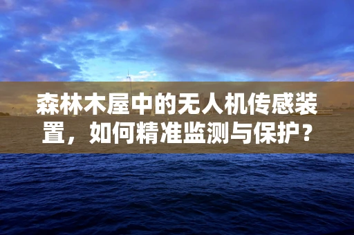 森林木屋中的无人机传感装置，如何精准监测与保护？