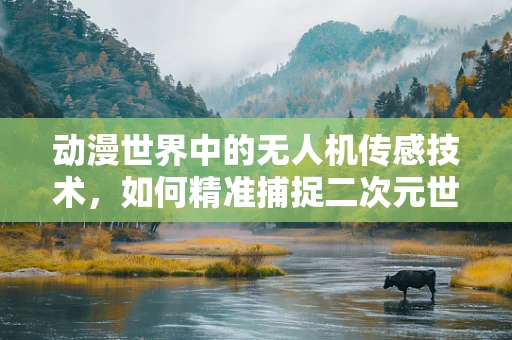 动漫世界中的无人机传感技术，如何精准捕捉二次元世界的细节？