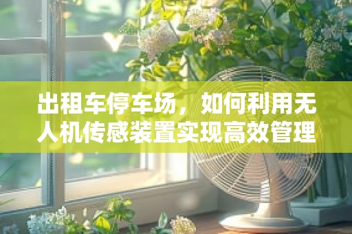 出租车停车场，如何利用无人机传感装置实现高效管理？