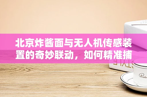 北京炸酱面与无人机传感装置的奇妙联动，如何精准捕捉空中美食的‘酱香’？