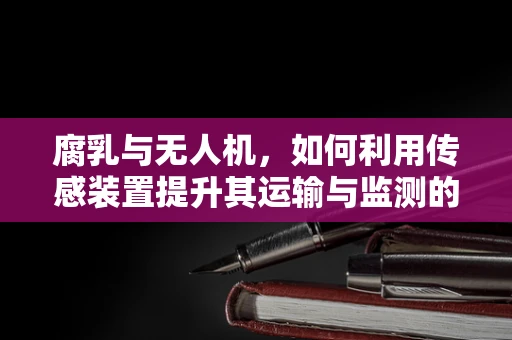 腐乳与无人机，如何利用传感装置提升其运输与监测的精准度？