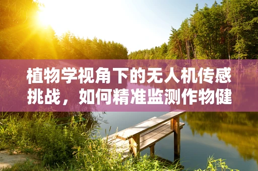 植物学视角下的无人机传感挑战，如何精准监测作物健康状态？