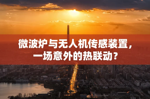 微波炉与无人机传感装置，一场意外的热联动？